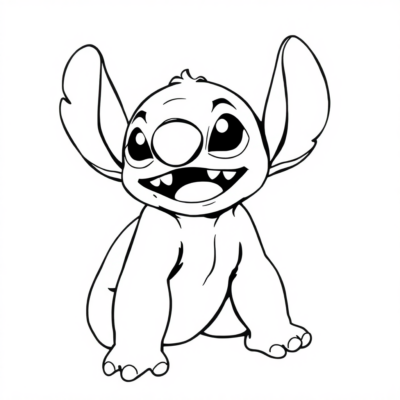 Boky Stitch