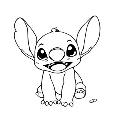 Stitch Boky